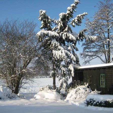 Ferienhaus Uchte / Darlaten Βίλα Εξωτερικό φωτογραφία