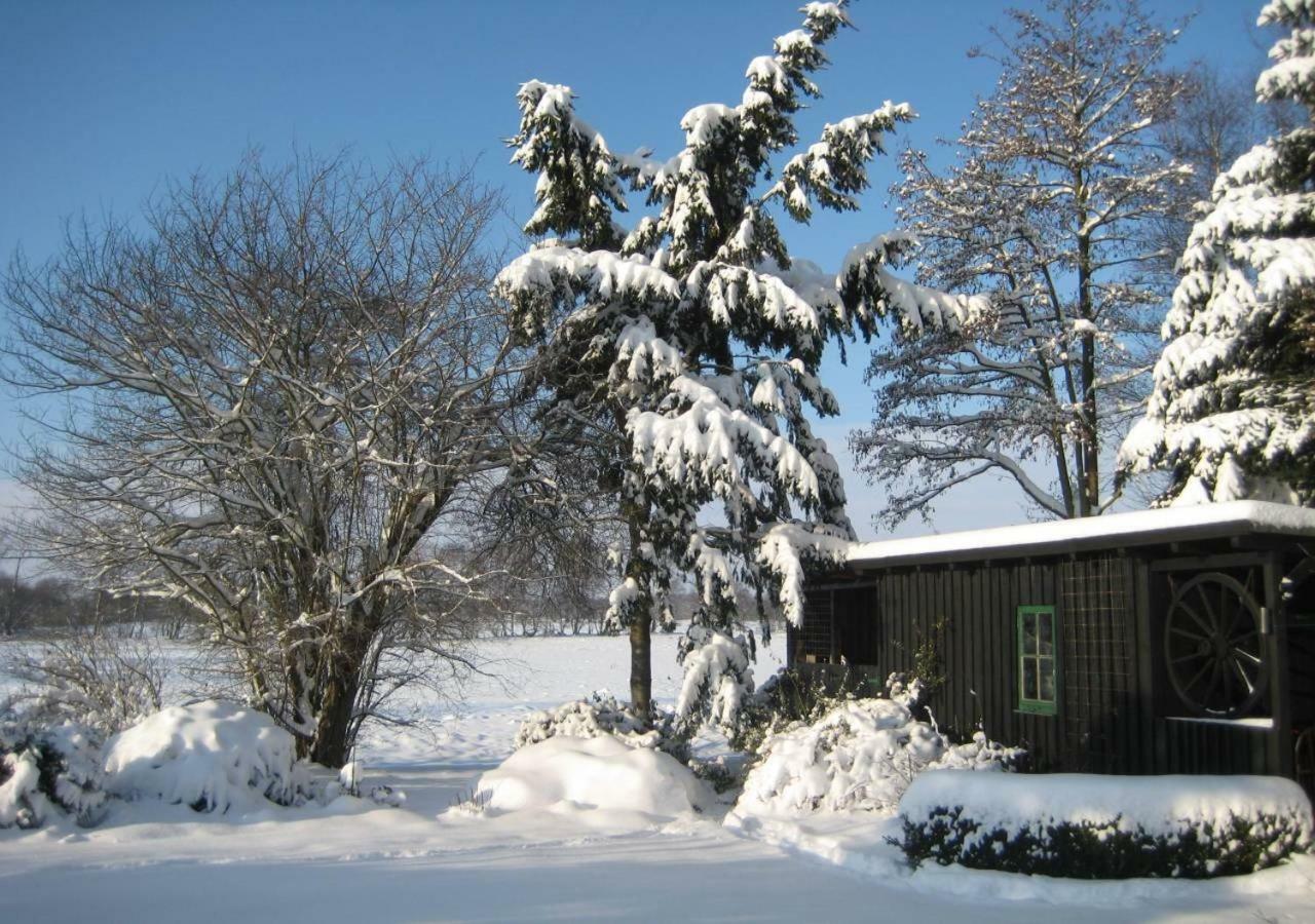 Ferienhaus Uchte / Darlaten Βίλα Εξωτερικό φωτογραφία