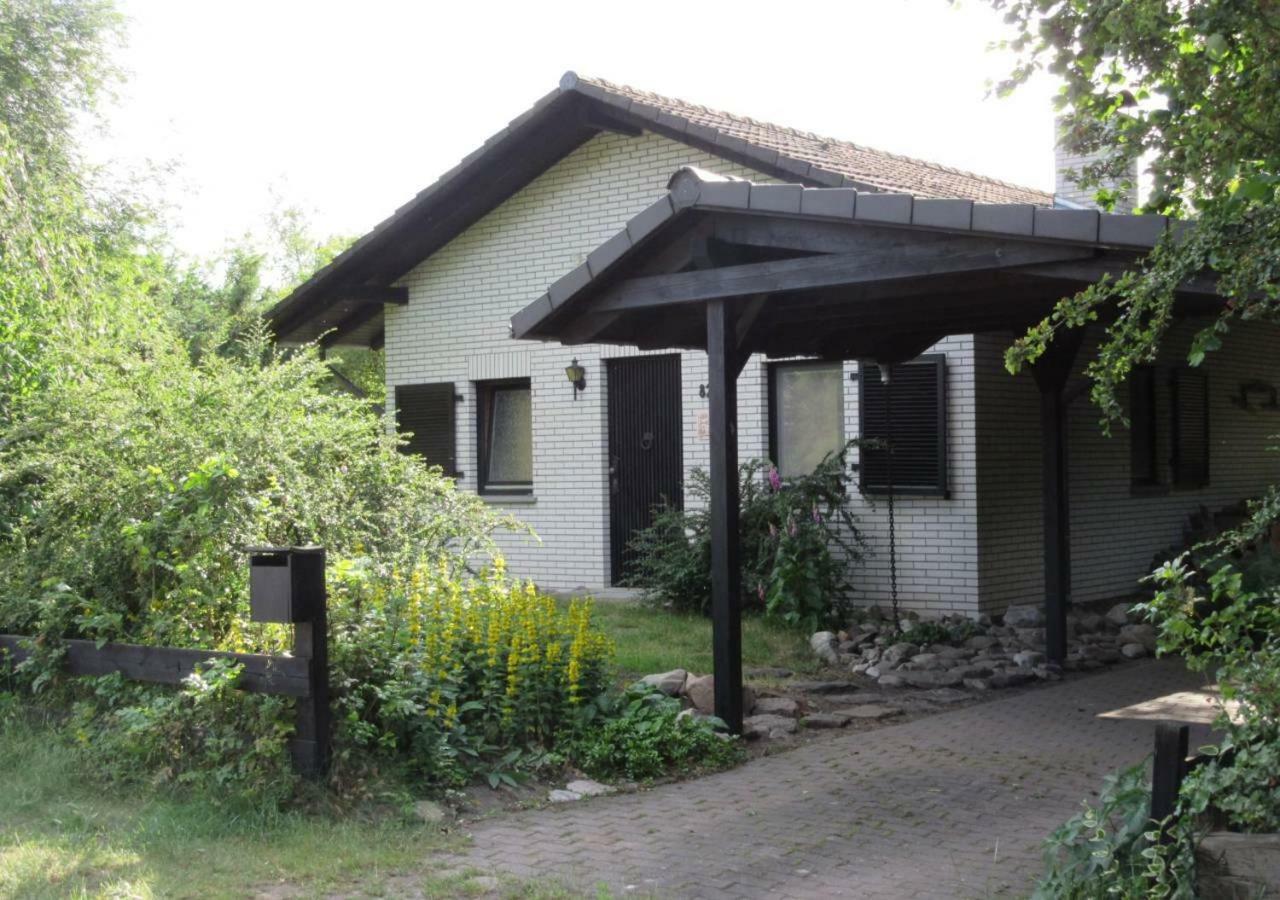 Ferienhaus Uchte / Darlaten Βίλα Εξωτερικό φωτογραφία